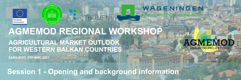 Opening of the Workshop and background information