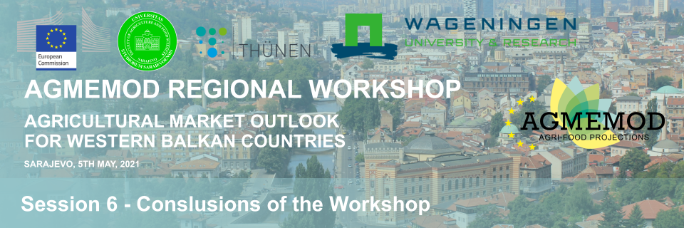 Conclusions of the workshop